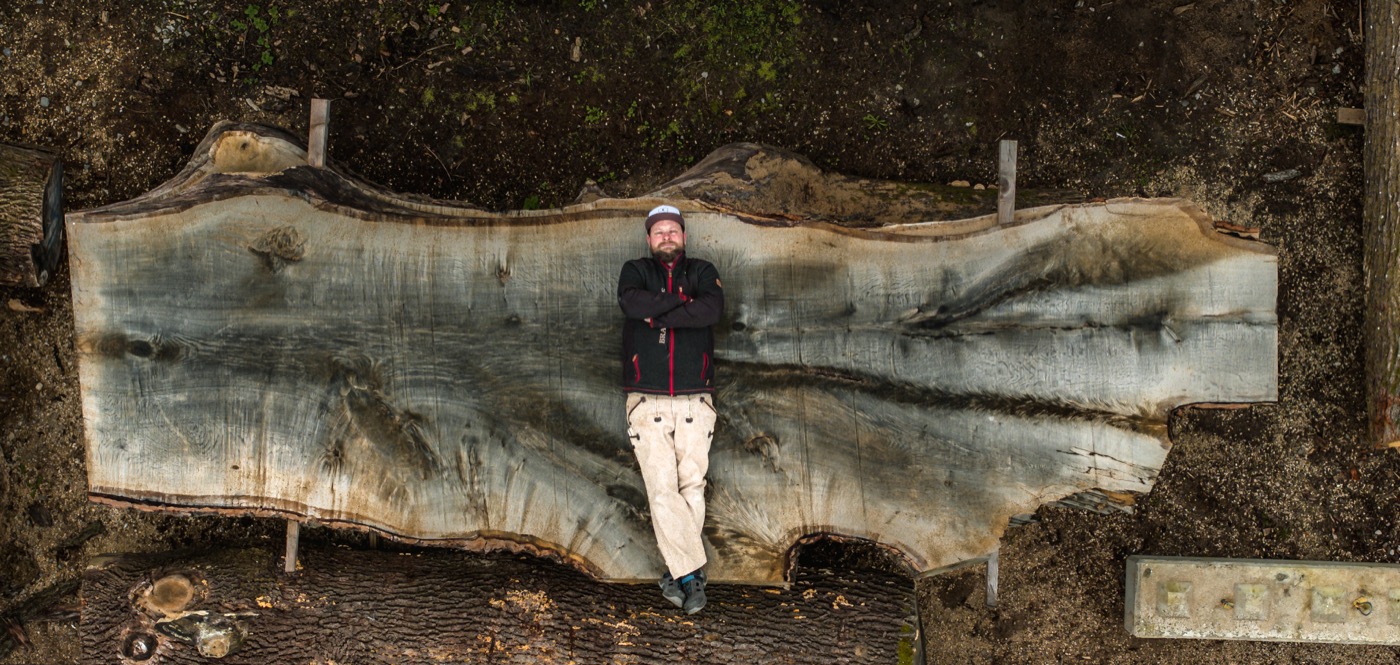 BRANDsMADE - Riesenstamm